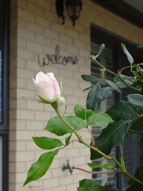 The Oxley Estate - Your Accommodation 2