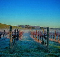 Eastern Peake Winery - Your Accommodation