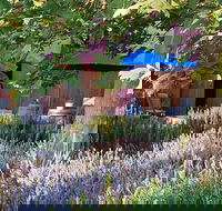 Macquariedale Organic Wines - Your Accommodation