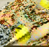 Gozleme King - Blacktown - Your Accommodation