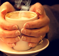 J  L Coffee Roasters and Chocolatiers - Your Accommodation