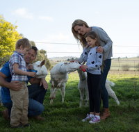 Sunhill Dairy Goats and Sunhill Skin Essentials - Your Accommodation
