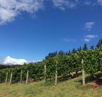 Freycinet Vineyard - Your Accommodation