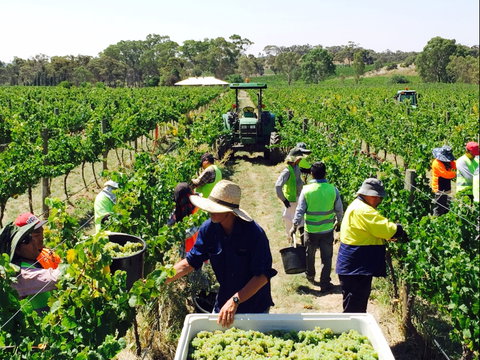 Grosset Wines - Your Accommodation 1