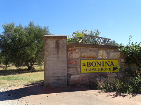 Bonina Olive Grove - Your Accommodation 1