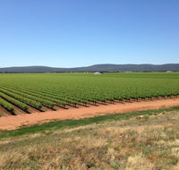 Melange Wines - Your Accommodation