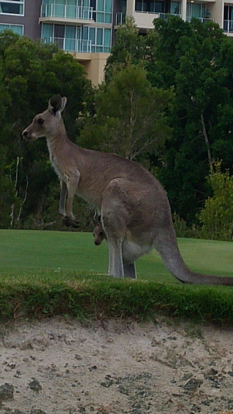 T On Course - Your Accommodation 3