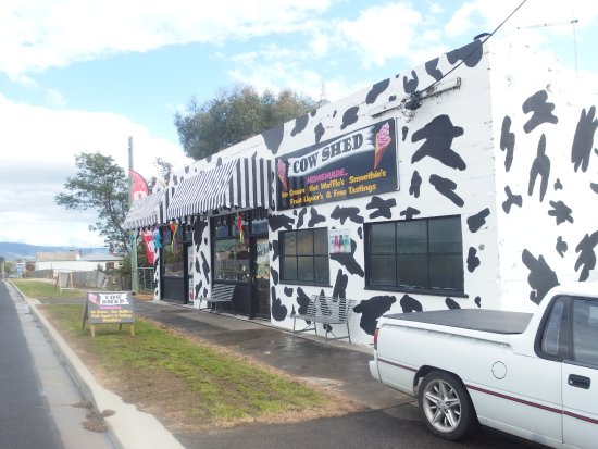 Avoca TAS Your Accommodation