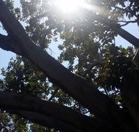 The Season Tree - Your Accommodation