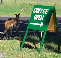 Chillagoe Gallery 29 - Your Accommodation