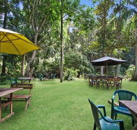 Rainforest - Your Accommodation