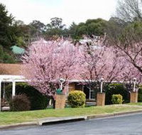 White Lanterns Motel - Your Accommodation