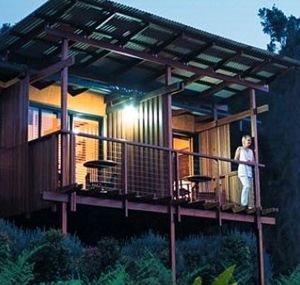 O'Reilly's Rainforest Guesthouse - Your Accommodation 1