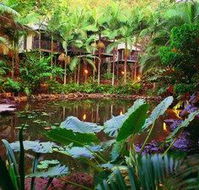Daintree Eco Lodge  Spa - Your Accommodation