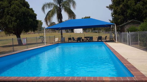 Jacaranda Motor Lodge - Your Accommodation 2