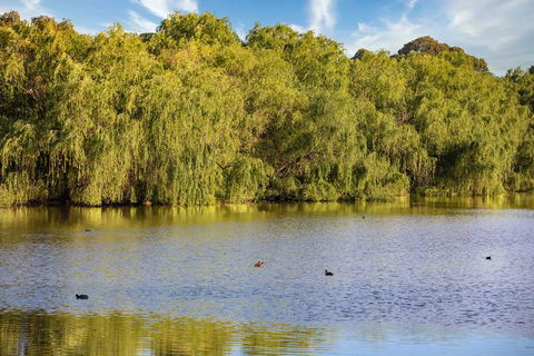 Club Wyndham-Trademark Collection - Your Accommodation 2