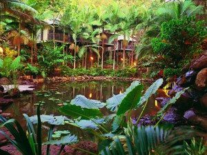 Daintree Eco Lodge & Spa - Your Accommodation 0