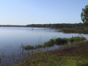 Cabarita Lake Apartments - Your Accommodation 2