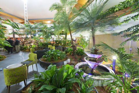 Pavilion On Northbourne - Your Accommodation 2