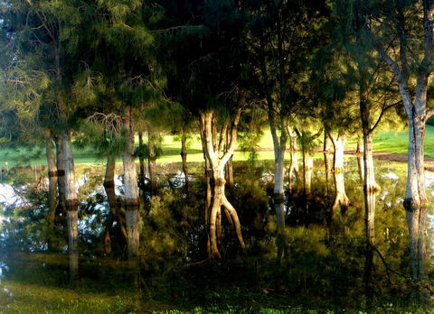 Lure Bed And Breakfast - Your Accommodation 18