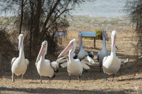 Mercure Kangaroo Island Lodge - Your Accommodation 15