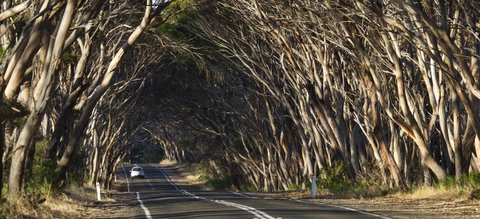 Mercure Kangaroo Island Lodge - Your Accommodation 40