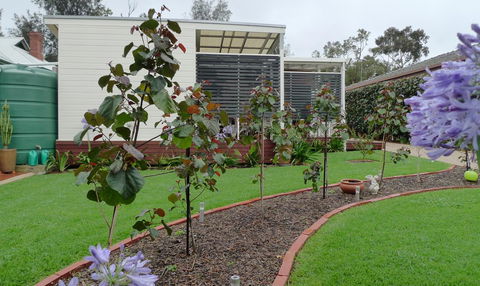 Grassmere House Magill - Your Accommodation 19