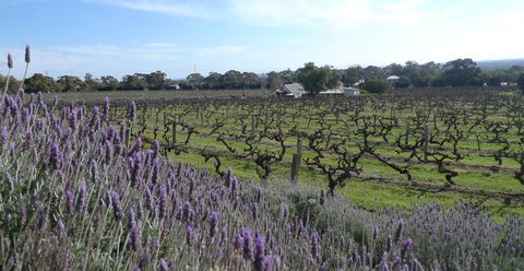 Grassmere House Magill - Your Accommodation 25
