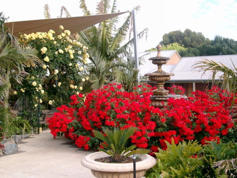 McLaren Vale Motel & Apartments - Your Accommodation 35
