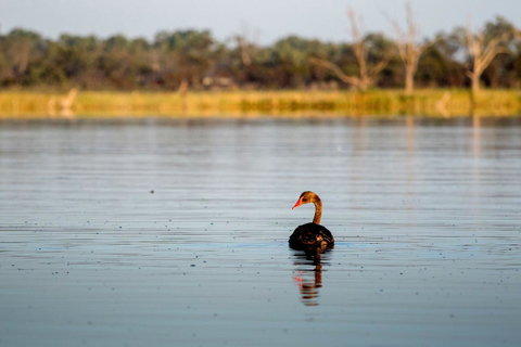 Discovery Parks - Lake Bonney - Your Accommodation 36