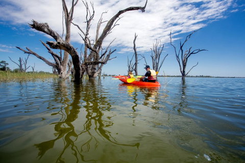 Discovery Parks - Lake Bonney - Your Accommodation 27