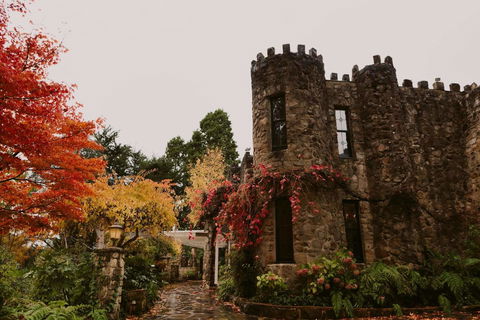 The Manor Basket Range - Your Accommodation 15