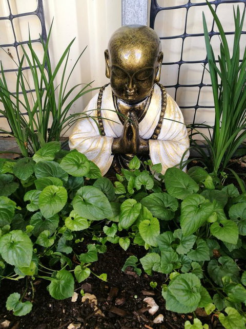 Hilda Anna's - Your Accommodation 44