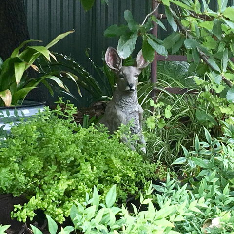 Hahndorf Oak Tree Cottages - Your Accommodation 12