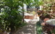 Little Para Cottage Tanunda - thumb 12