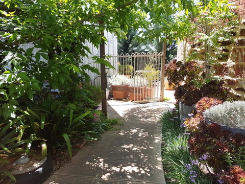 Little Para Cottage Tanunda - Your Accommodation 12