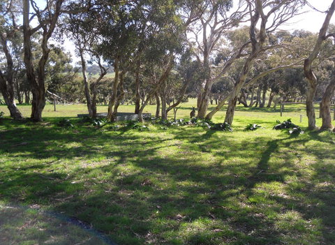 Wenton Farm Holiday Cottages - Your Accommodation 1