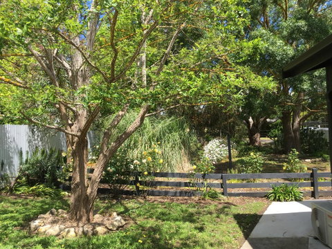 Hilltop Too - Your Accommodation 7