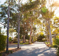 Modra's Apartments - Your Accommodation