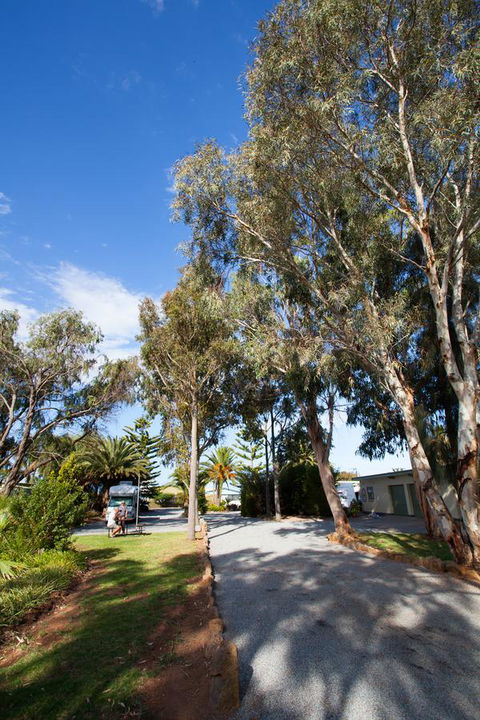 Modra\'s Apartments - Your Accommodation 7