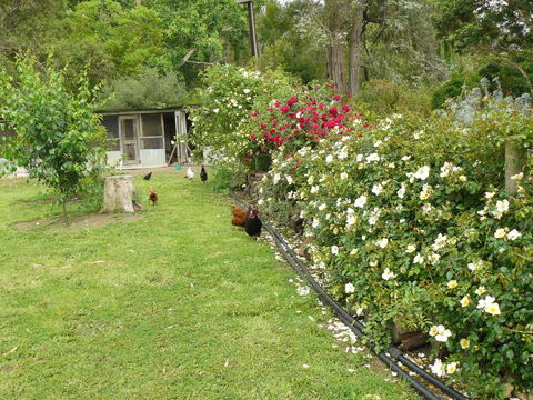 Camawald Coonawarra Cottage B&B - Your Accommodation 3
