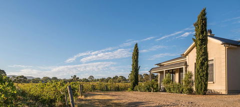 Barossa Shiraz Estate - Your Accommodation 13