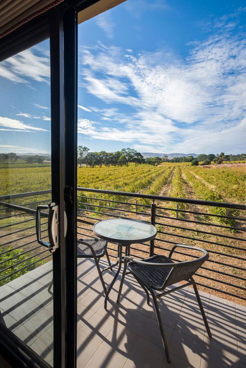 Barossa Shiraz Estate - Your Accommodation 33