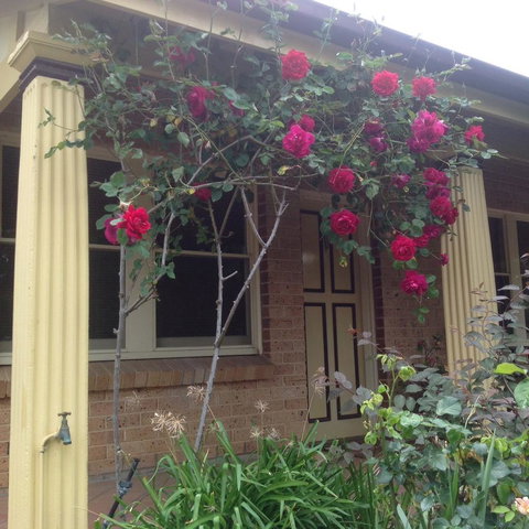 Oats Cottage - Your Accommodation 3