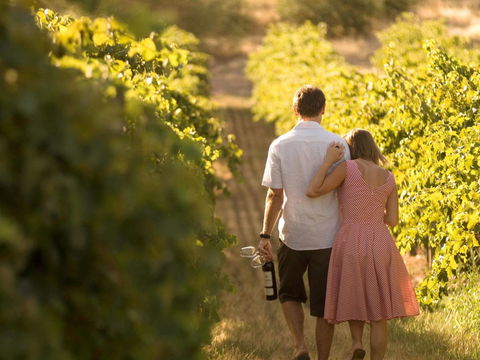Novotel Barossa Valley Resort - Your Accommodation 40