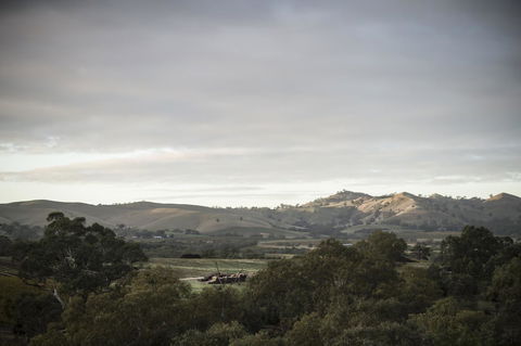 Novotel Barossa Valley Resort - Your Accommodation 23