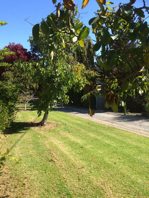 Vineyard Cottage BnB - Your Accommodation 17