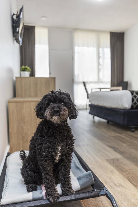 Adelaide Road Motor Lodge - Your Accommodation 2