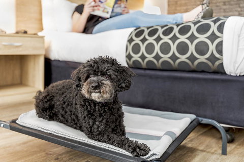 Adelaide Road Motor Lodge - Your Accommodation 5