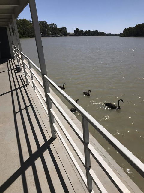 Murray River Queen - Your Accommodation 7